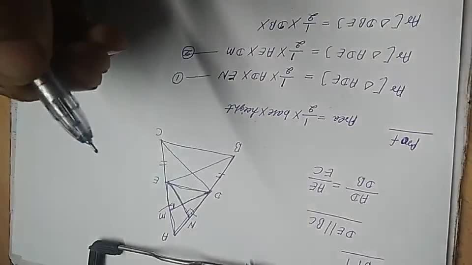 The corresponding angles of the two Quadrilaterales are not equal. Hence,..