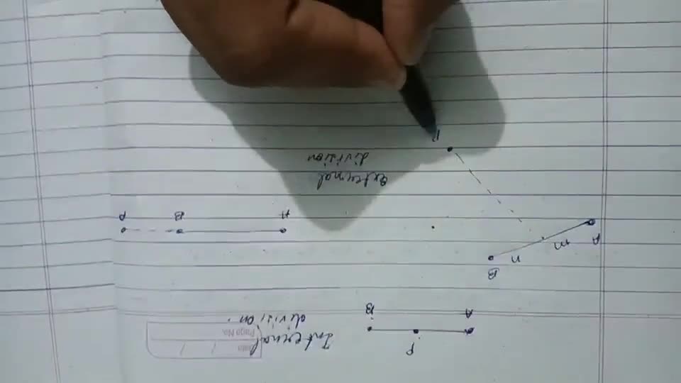 What is the meaning of external division Filo