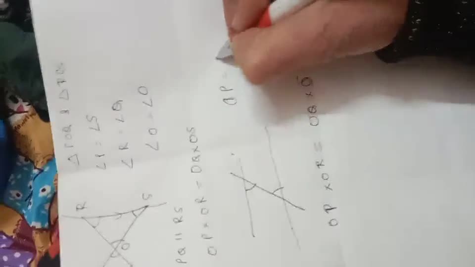 x CLASS REVISION PROGRAMME MATHEM IAT In the given figure, \mathrm{PQ}
