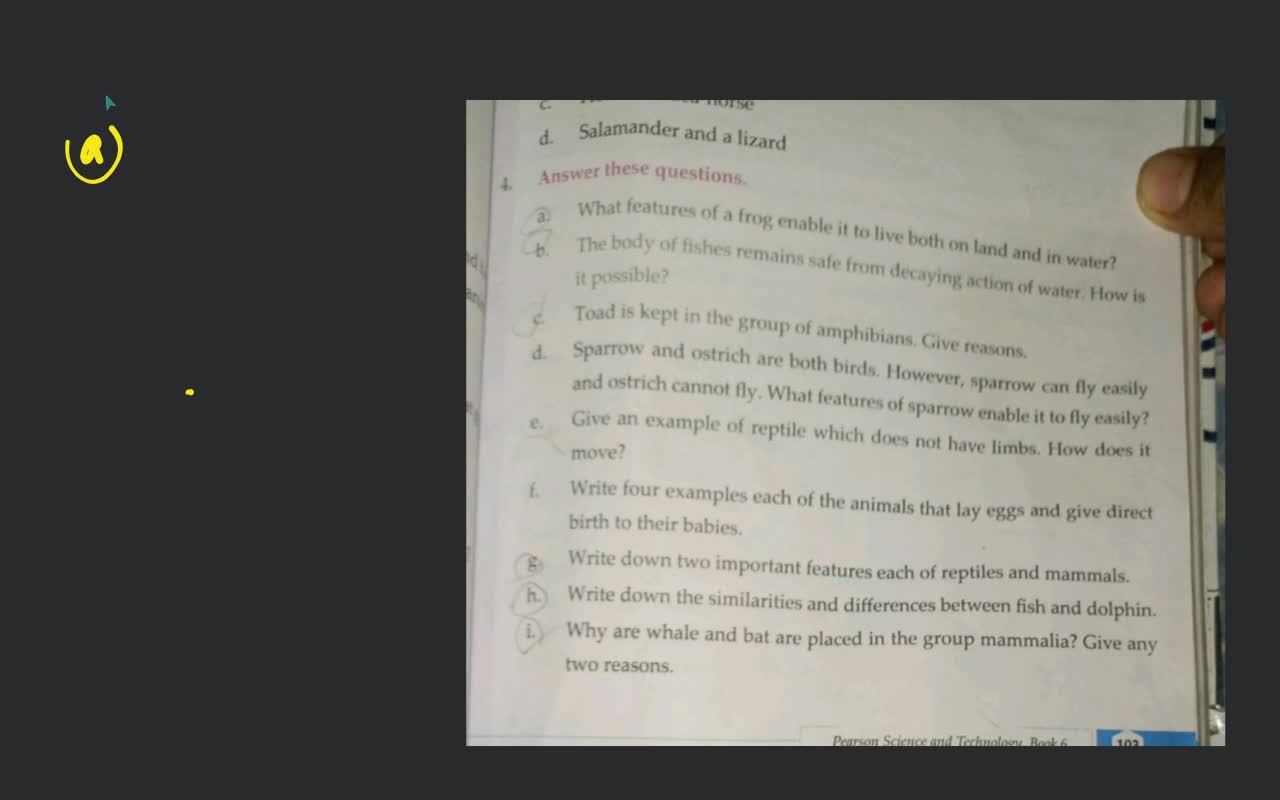 nd d. Salamander and a lizard Answer these questions. a b. C. What featur..